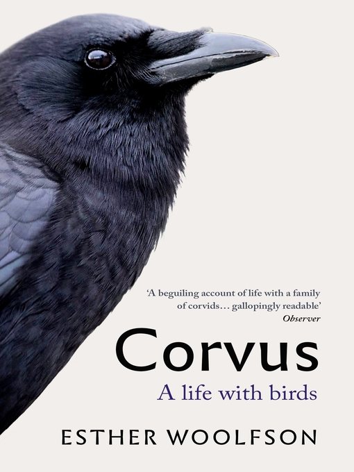 Title details for Corvus by Esther Woolfson - Wait list